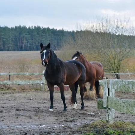 Apartmán Zasypane Mazury, Sun & Snow