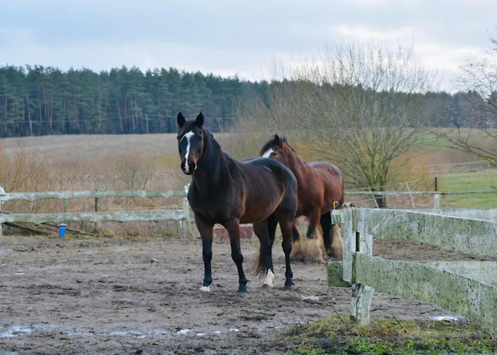 Apartmán Zasypane Mazury, Sun & Snow