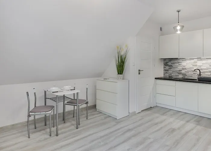 Zasypane Mazury, Sun & Snow *