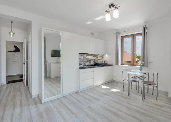 Zasypane Mazury, Sun & Snow